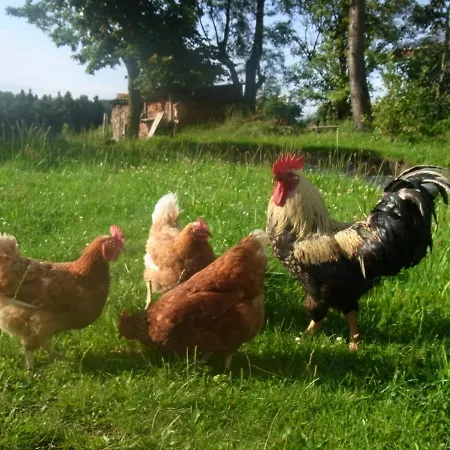 Kailhof Farm stay *