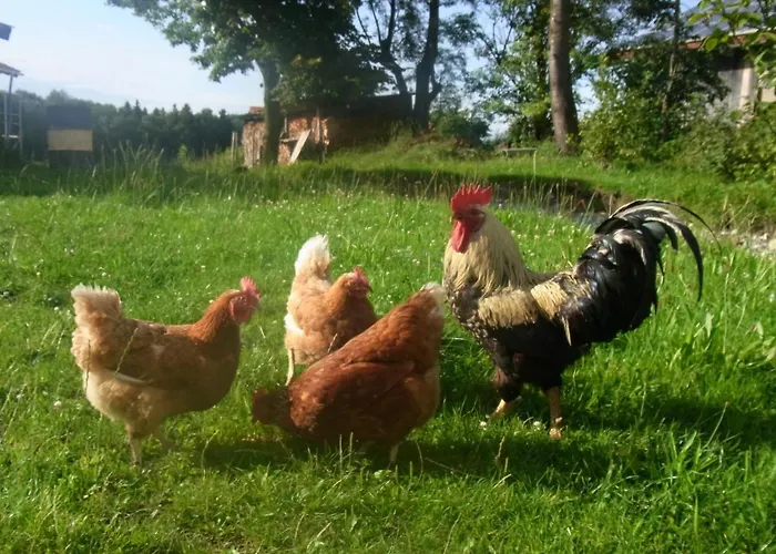 Kailhof Farma *